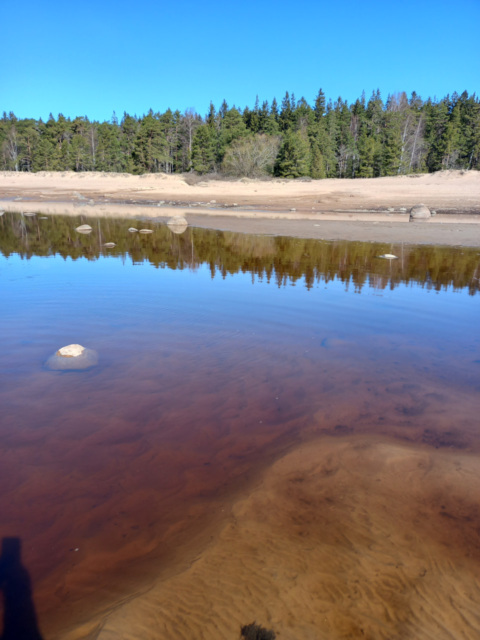 Фото в бортжурнале Renault Sandero 2G