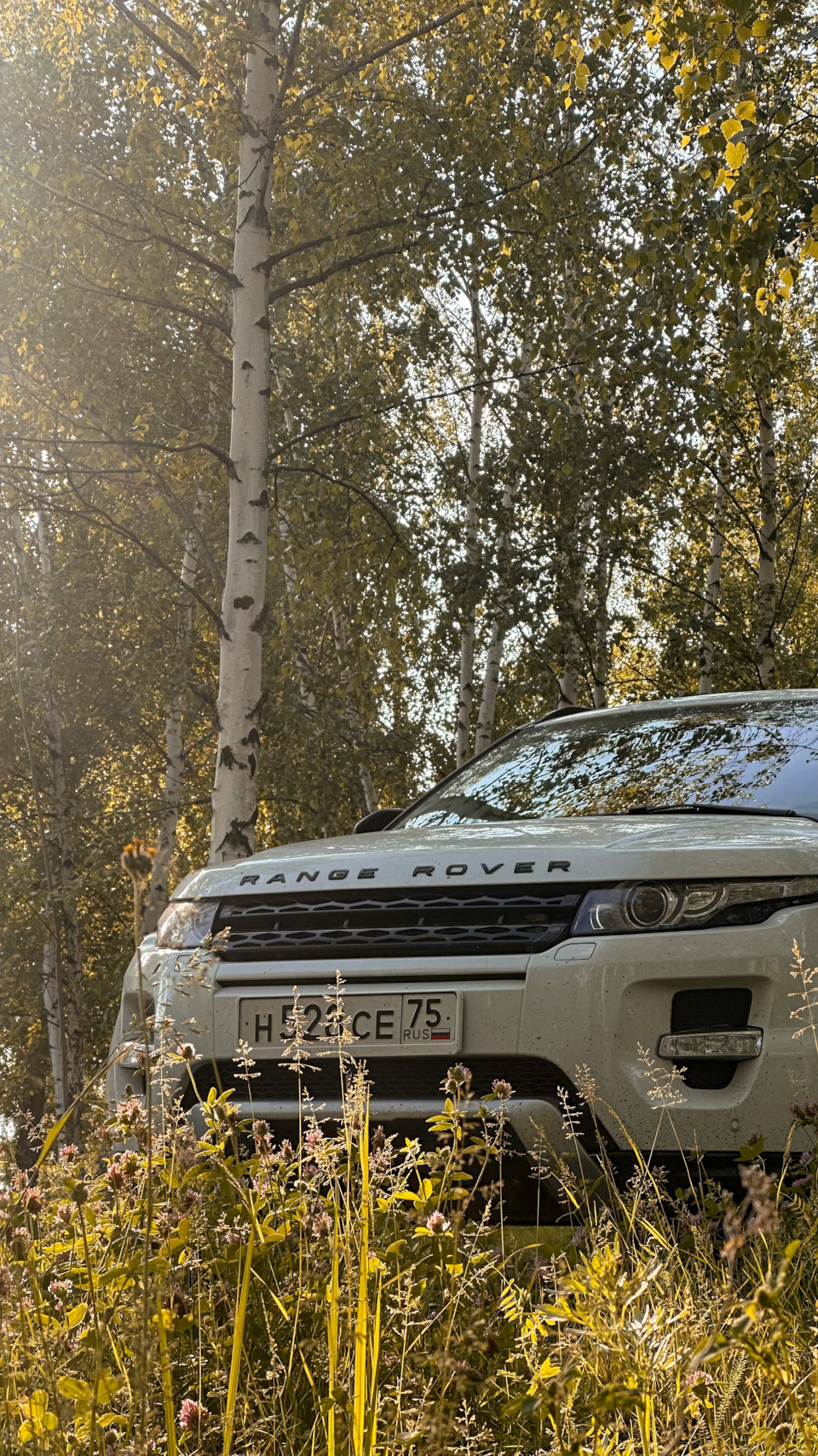 Фото в бортжурнале Land Rover Range Rover Evoque (1G)