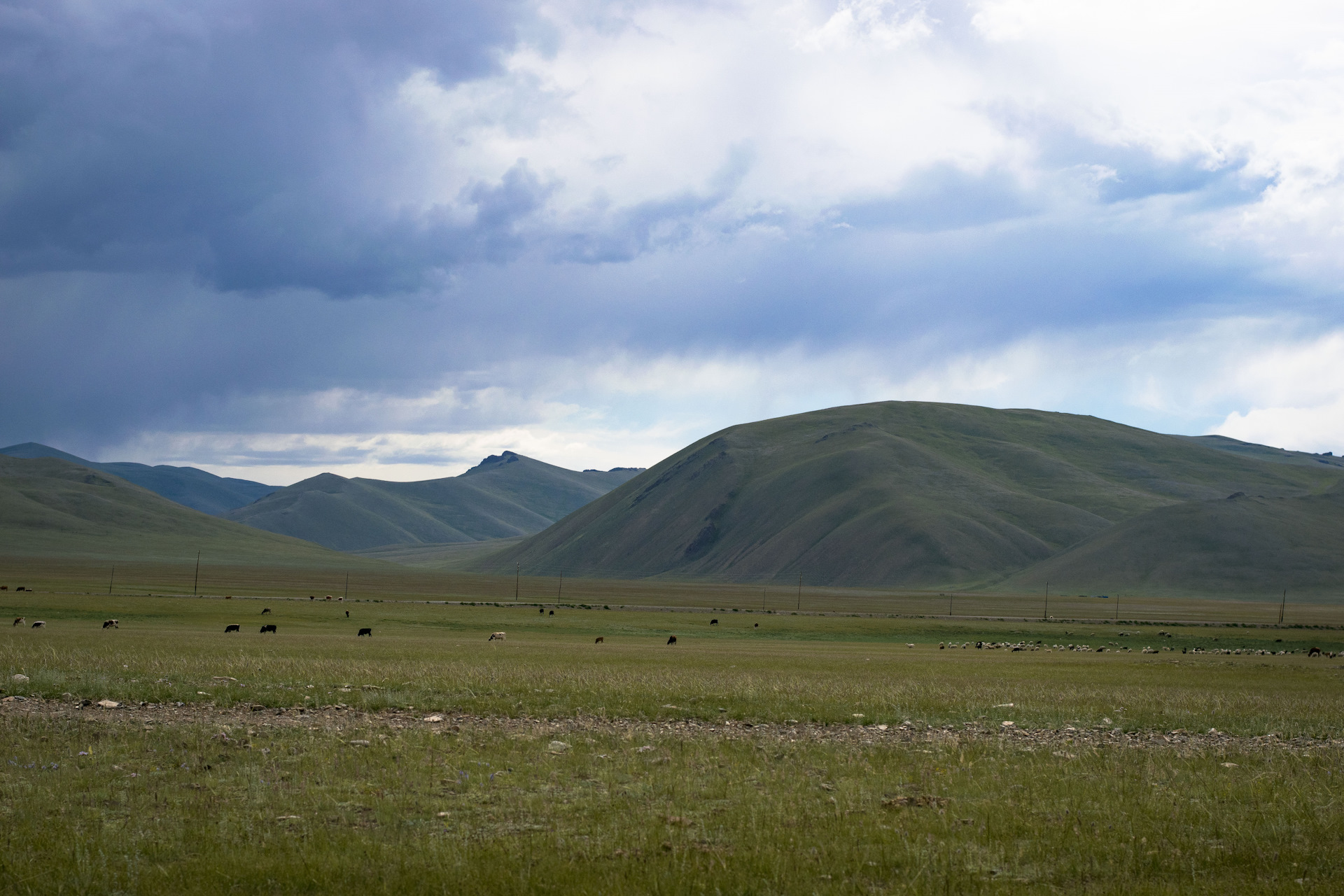 Ташанта республика алтай фото