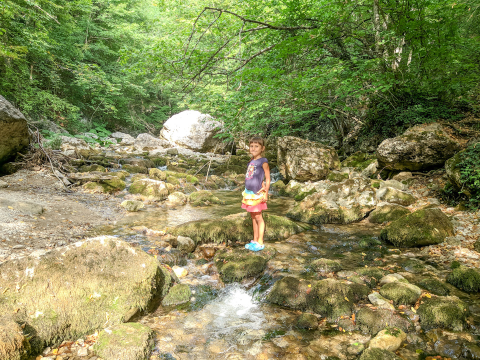 Фото в бортжурнале Audi A5 (1G)