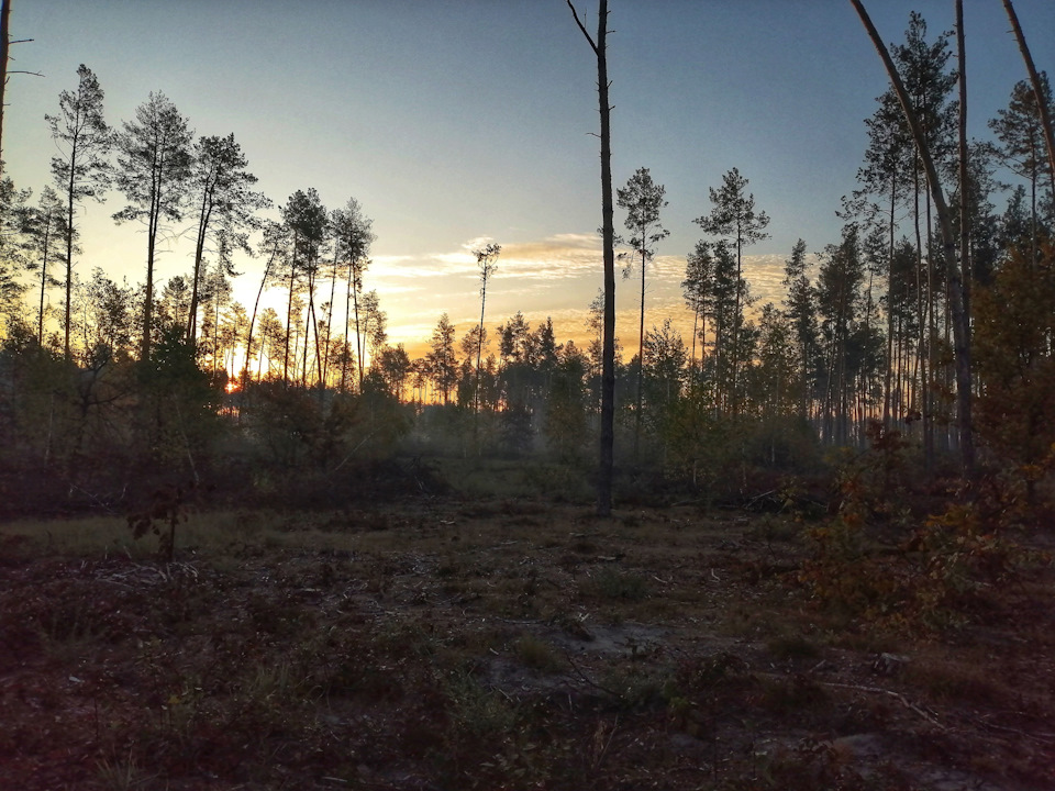 Рассвет в лесу — Сообщество «Фотография» на DRIVE2