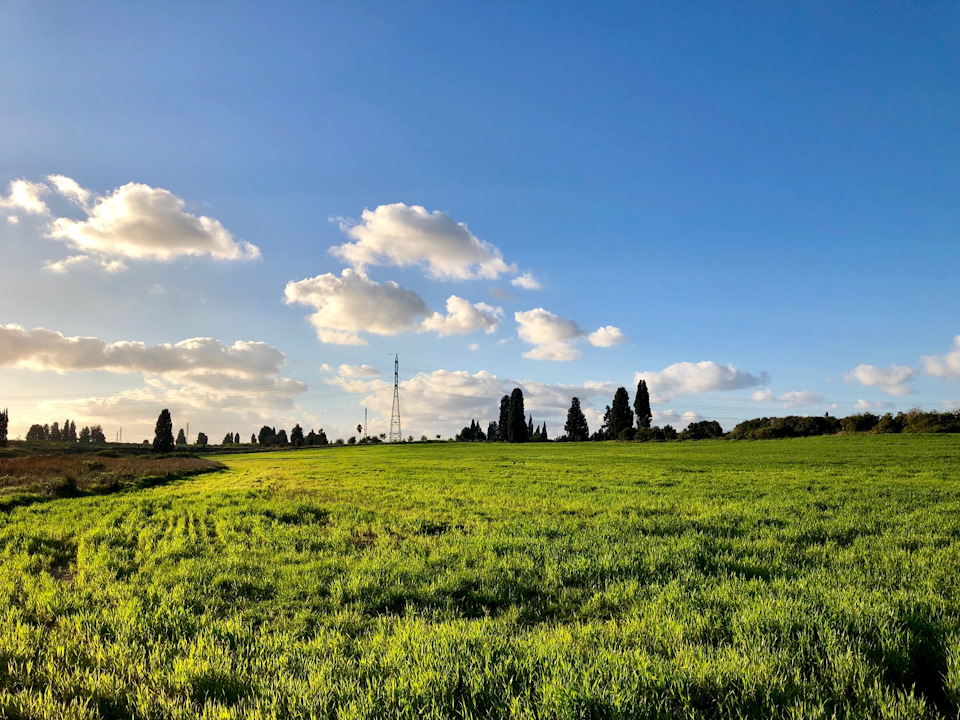 Фото в бортжурнале Suzuki Jimny (1G)