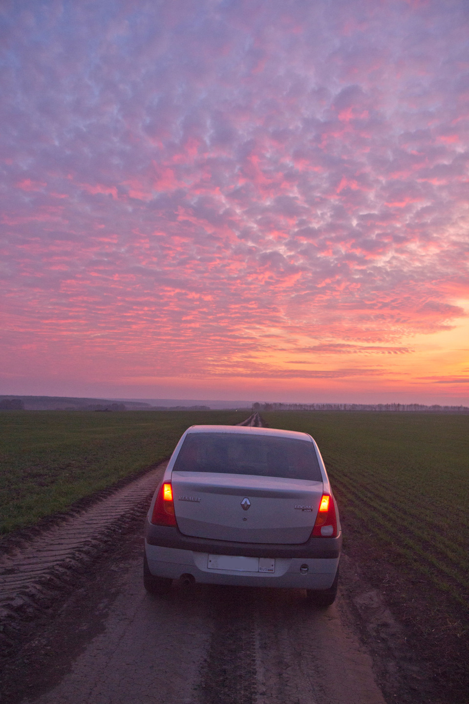 Итоги 5-го года владения логаном — Renault Logan (1G), 1,4 л, 2006 года ...