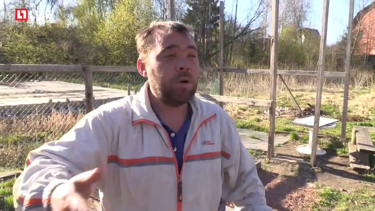 Видео мне похуй