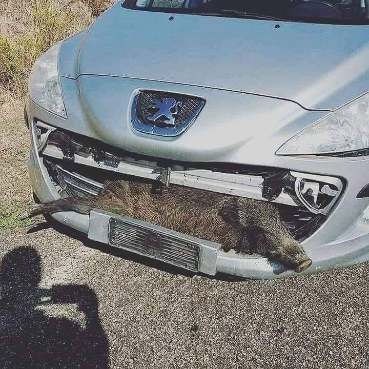 Как выбрать тормозной барабан на рено логан - 82 фото