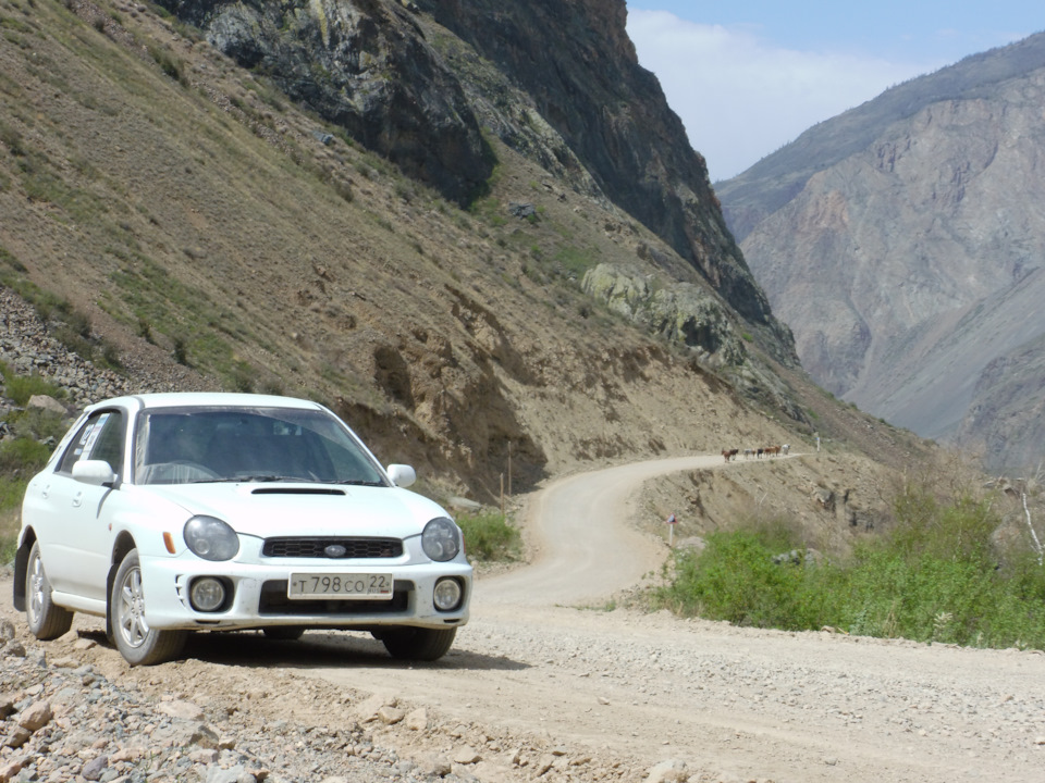 Коники — Subaru Impreza (GD/GG)