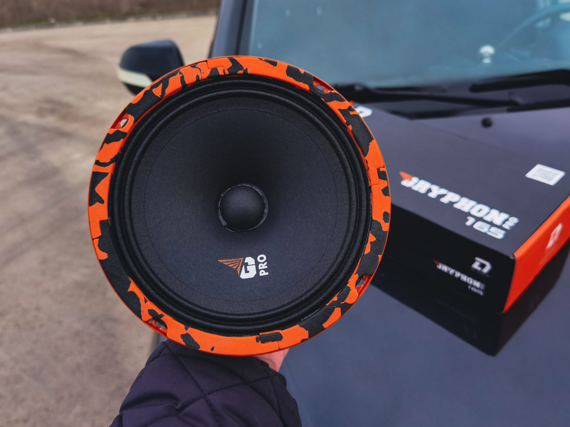 Мидбасы dl audio. Dl audio gryphon pro 165. dl audio piranha 12a. вонючка dl audio.