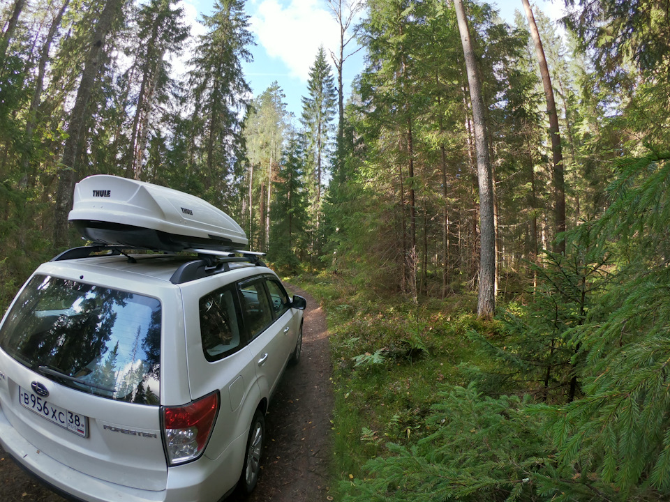 Пропал звуковой сигнал ( — Toyota Corolla (140/150), 1,6 л., 2006 года ...