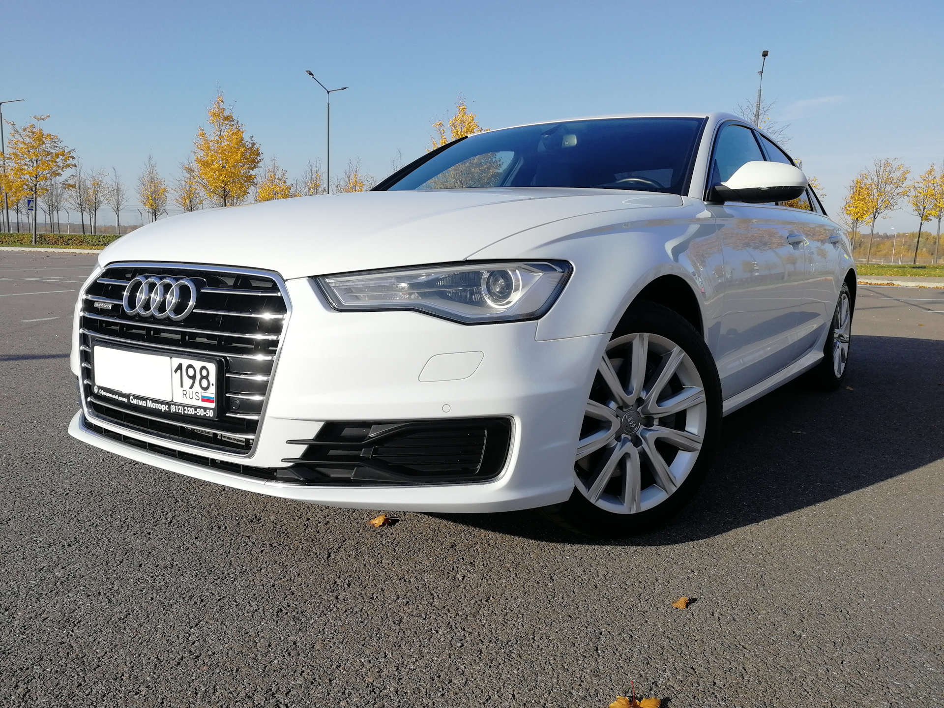 А6 белая. Audi a6 белая. Ауди а6 белая. Ауди а6 белая 2016. Audi a6 White.