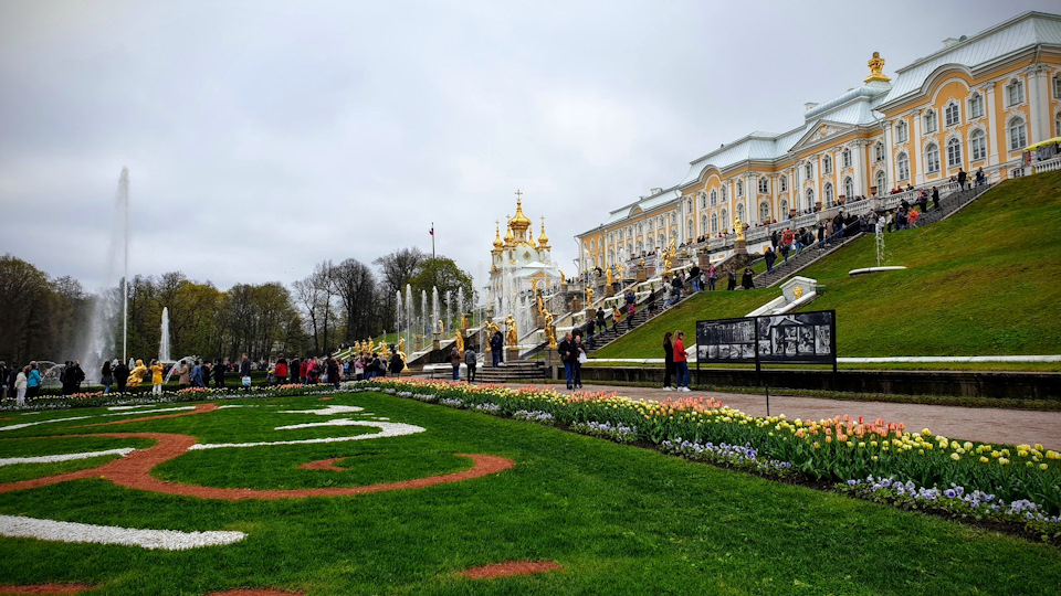 Фото в бортжурнале Audi A4 (B9)