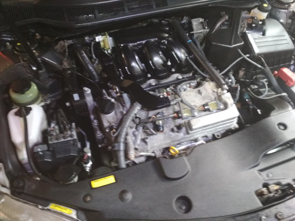 Мойка двигателя паром, сверху и снизу. — Toyota Camry (XV40), 3,5 л ...