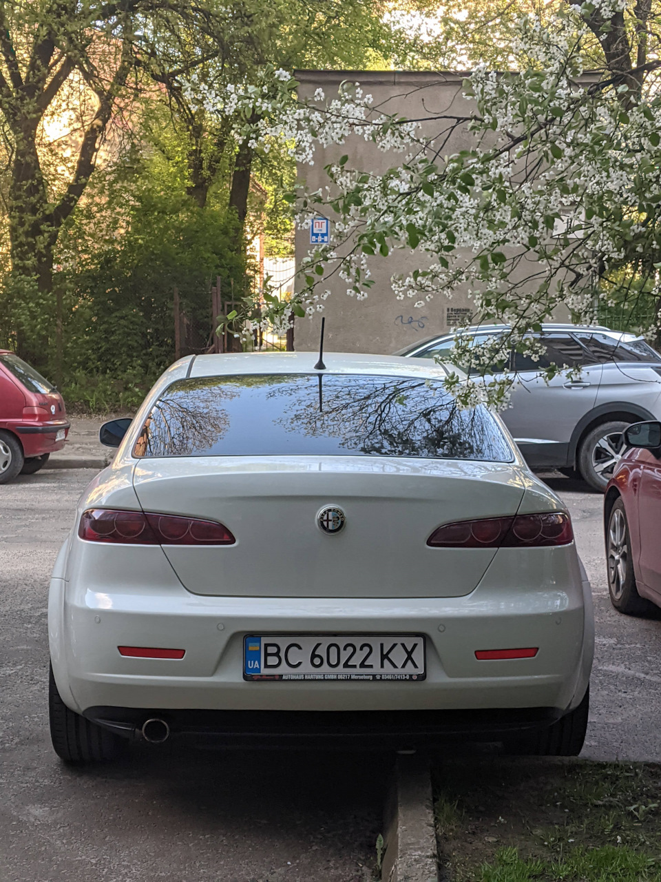 Весна и мой День рождения. Лучший подарок от лучших друзей! — Alfa Romeo  159, 2 л, 2011 года | просто так | DRIVE2