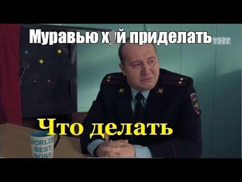 Что делать муравью