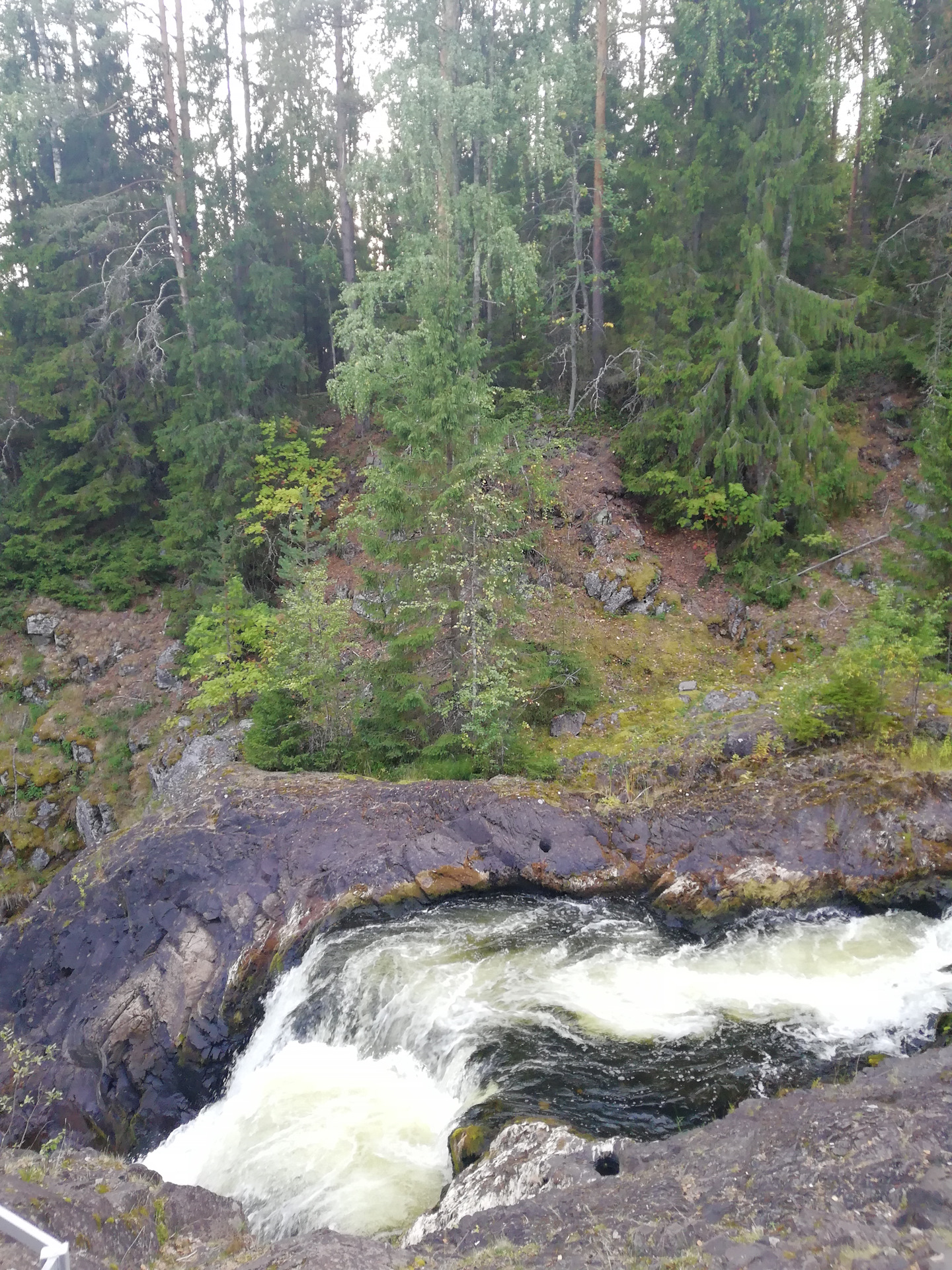 Путешествие Пермь — Карелия — Citroen C4 L, 1,6 л, 2014 года ...