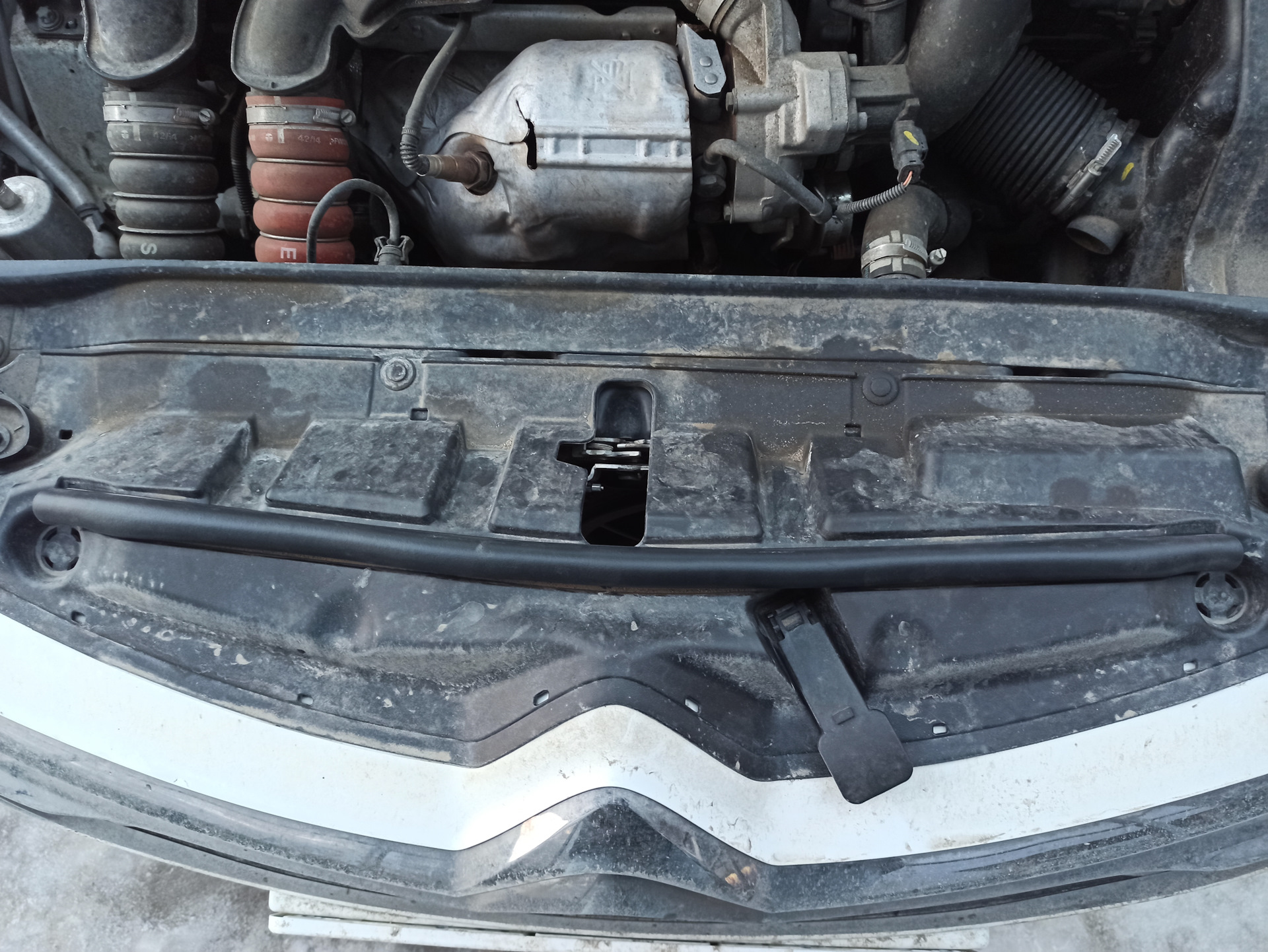 Уплотнитель капота ситроен. Уплотнитель капота ситроен. Уплотнитель капота ситроен. 5902a078 уплотнитель капота центральный. Капот пежо 4008.