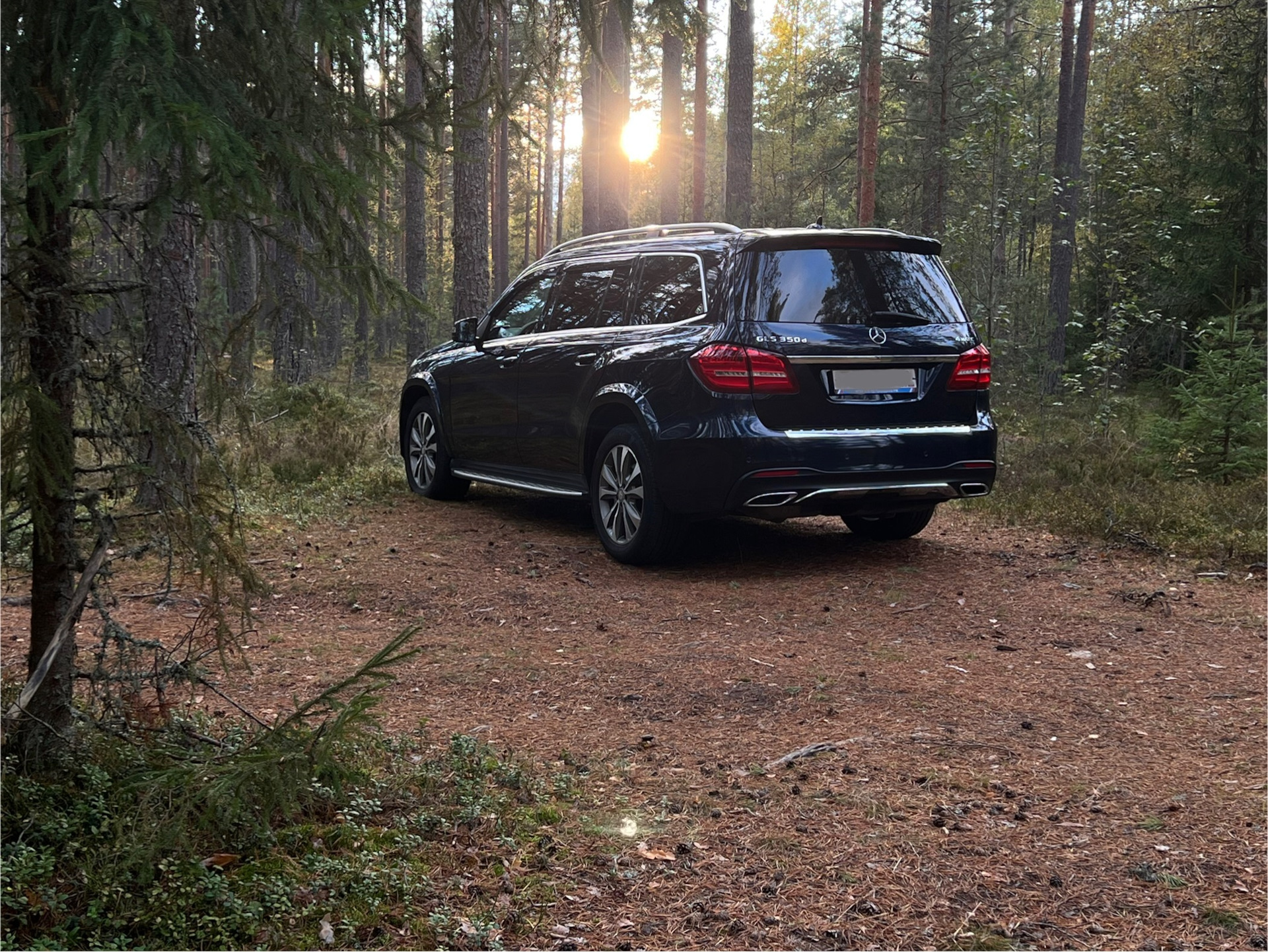 Фото в бортжурнале Mercedes-Benz GLS (X166)