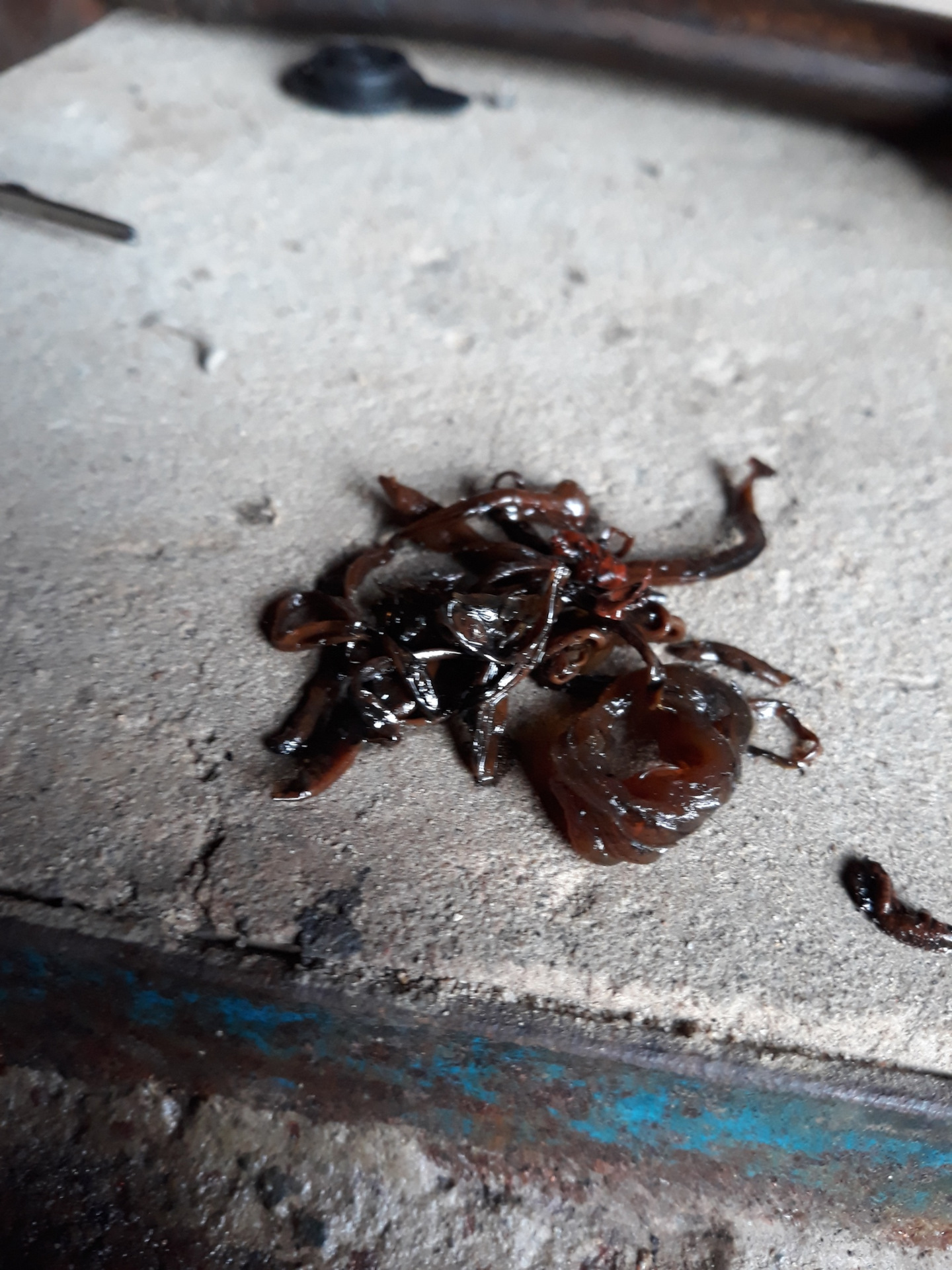 Прогорел выпускной клапан — Opel Vectra B, 1,8 л, 1999 года | поломка ...