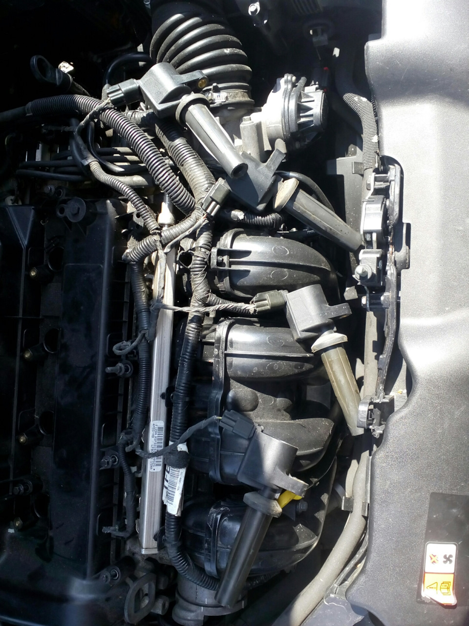 Замена прокладки крышки клапанов — Ford Focus II Sedan, 2 л, 2010 года ...