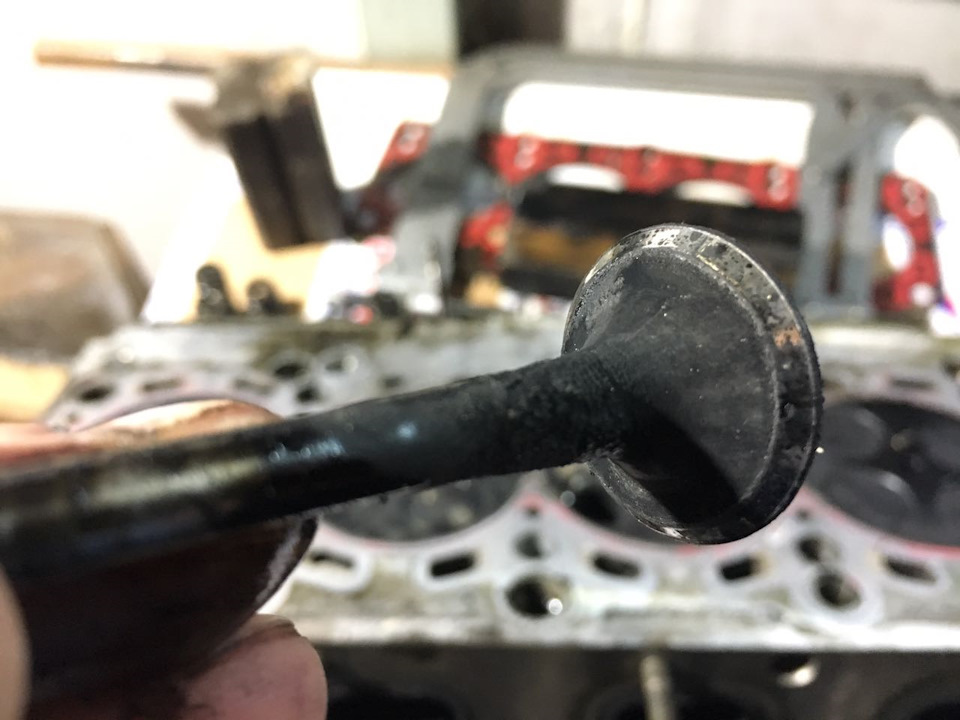 Фото в бортжурнале Volkswagen Multivan (T5)