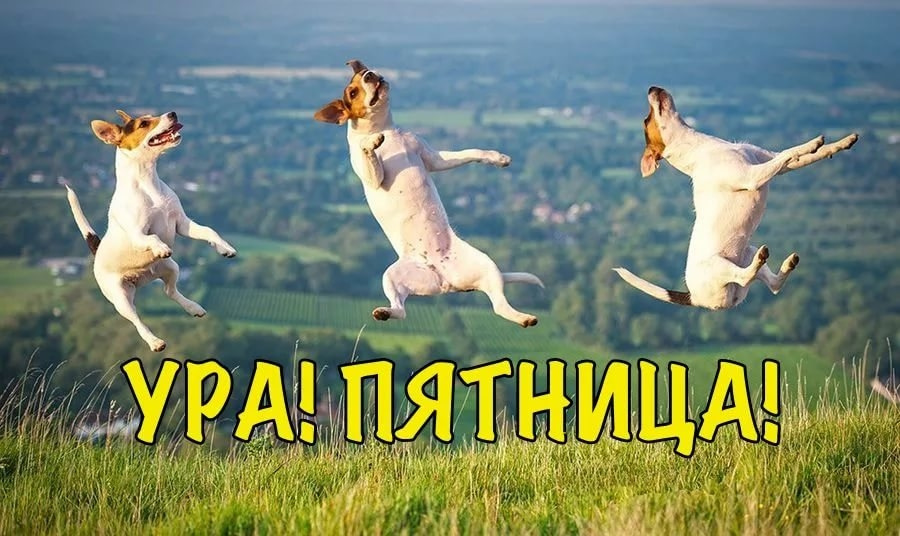 Наступающим для, прикольная картинка сегодня же пятница