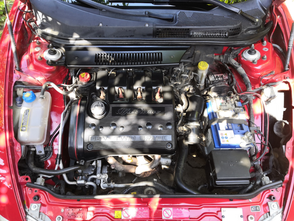 Замена масла и Альфа в гостях — Alfa Romeo 146, 1,6 л, 1997 года ...