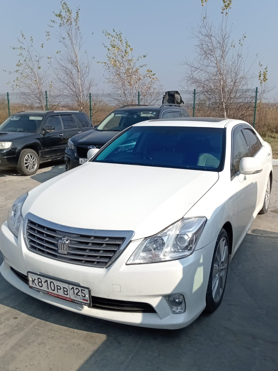 Затонировал лоб, Хамелеон! — Toyota Crown (S200), 2,5 л, 2010 года ...