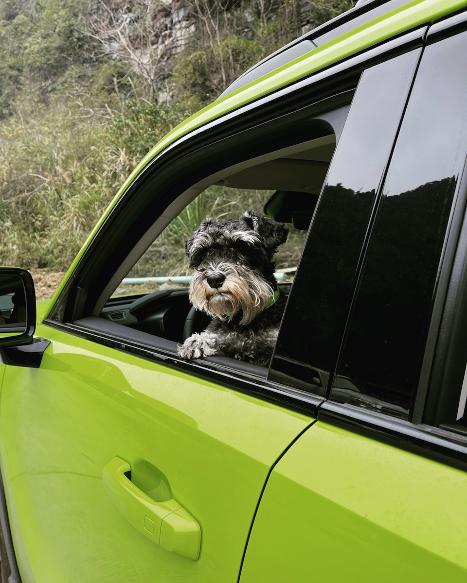 Haval KuGou (Cool Dog) — первые 3700 км — Haval Cool Dog, 1,5 л, 2022 года  | покупка машины | DRIVE2