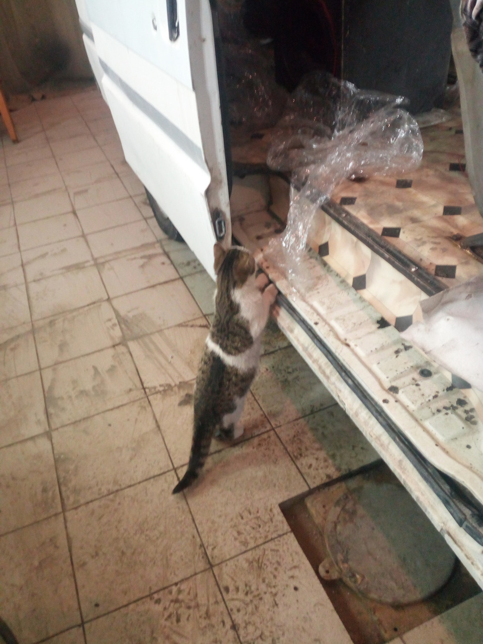 Реснички Ланос Сенс — ЗАЗ Sens, 1,3 л, 2013 года | стайлинг | DRIVE2