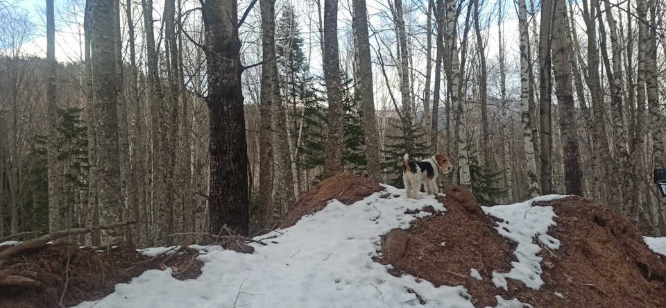 Фото в бортжурнале Mitsubishi Pajero (4G)