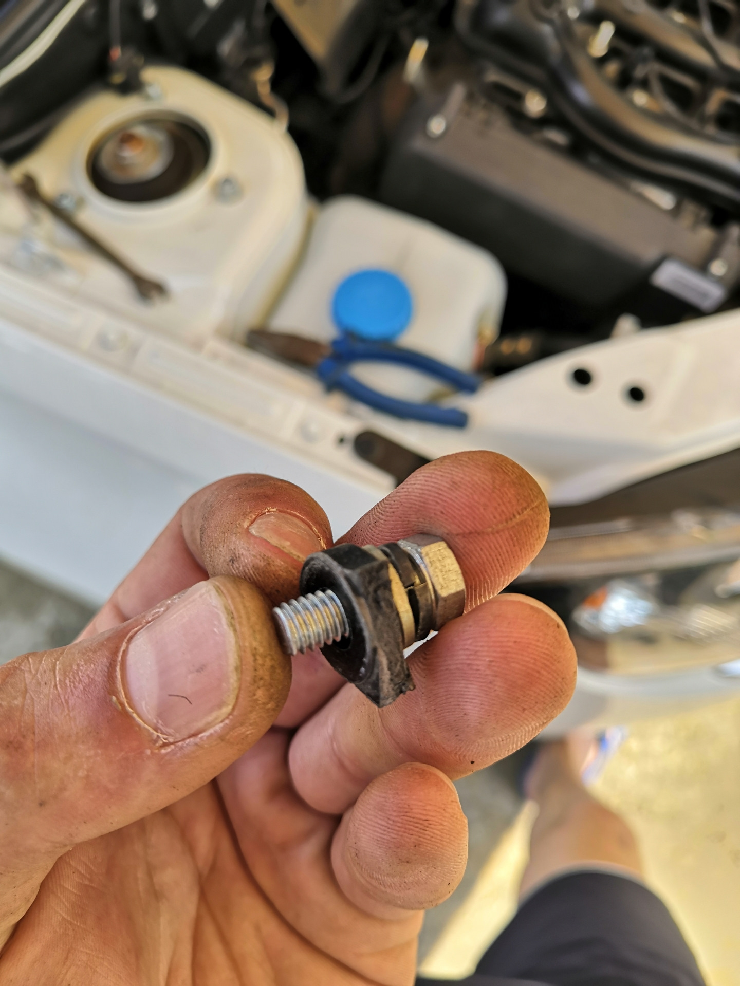 Камасутра или датчик фаз (распредвала) — Lada Гранта (2G) FL, 1,6 л ...