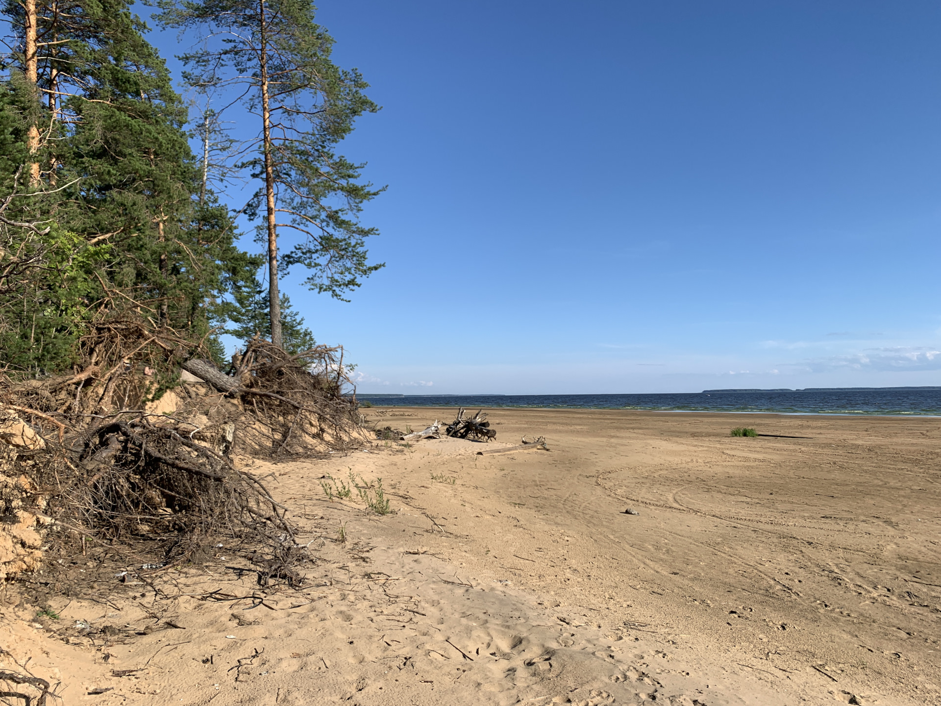 рыбинское водохранилище берега