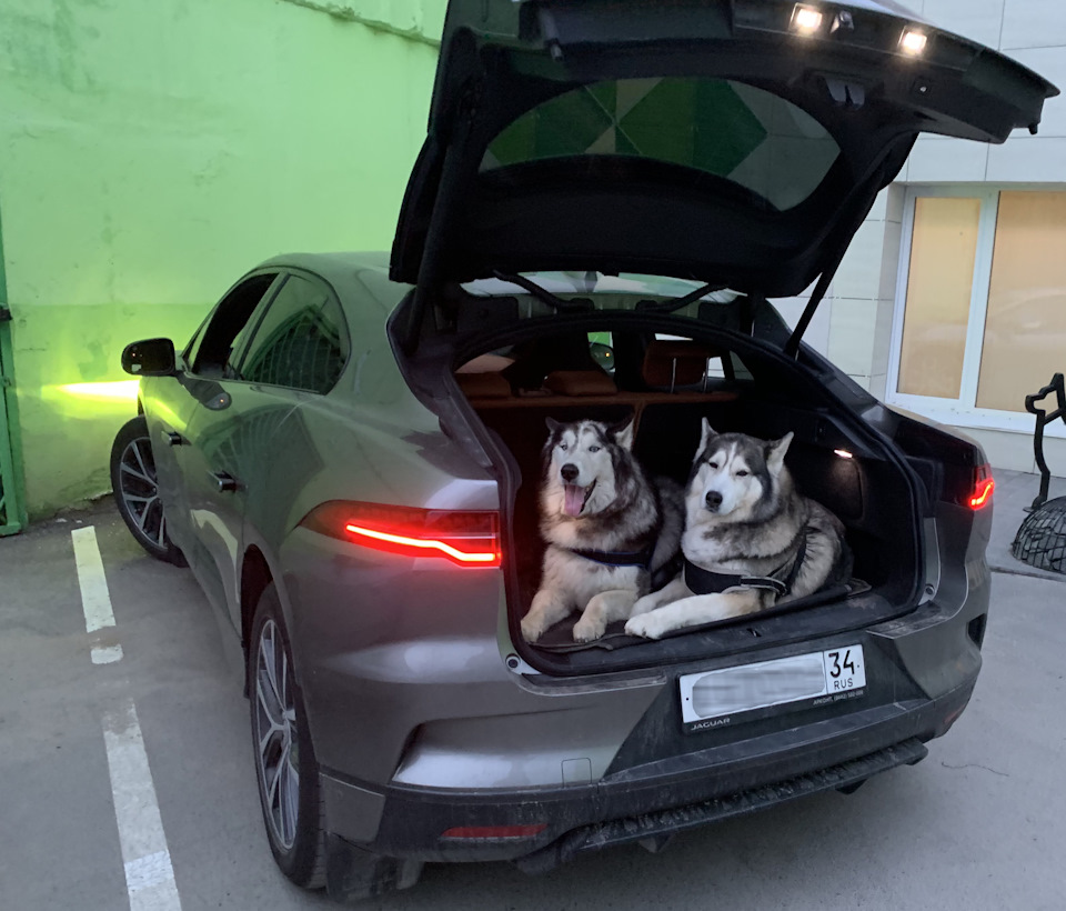 Фото в бортжурнале Jaguar I-Pace