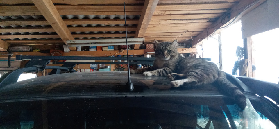 Установка антенны — Chevrolet Niva (1G), 1,7 л, 2005 года | автозвук ...