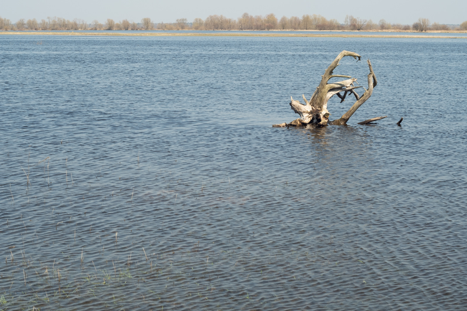 Море геродота фото