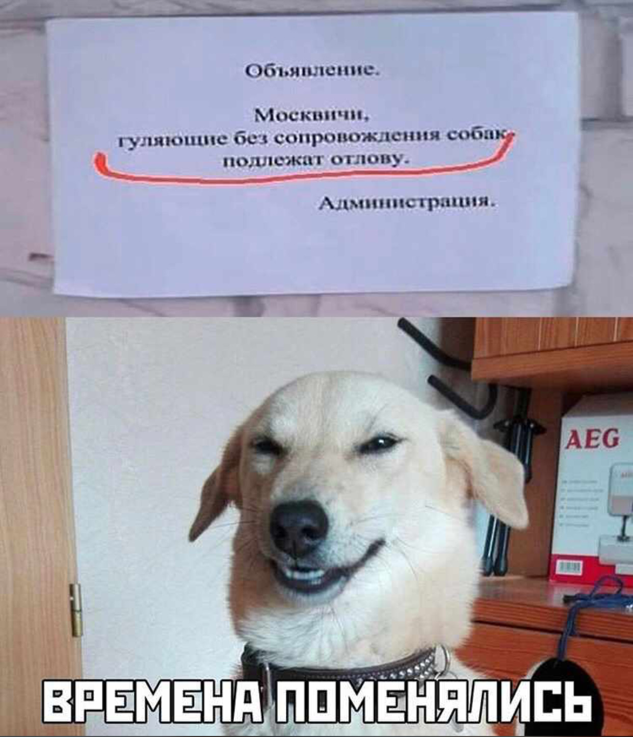 Москвичи прикол
