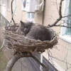 Расплавился предохранитель в блоке предохранителей что делать. Смотреть фото Расплавился предохранитель в блоке предохранителей что делать. Смотреть картинку Расплавился предохранитель в блоке предохранителей что делать. Картинка про Расплавился предохранитель в блоке предохранителей что делать. Фото Расплавился предохранитель в блоке предохранителей что делать