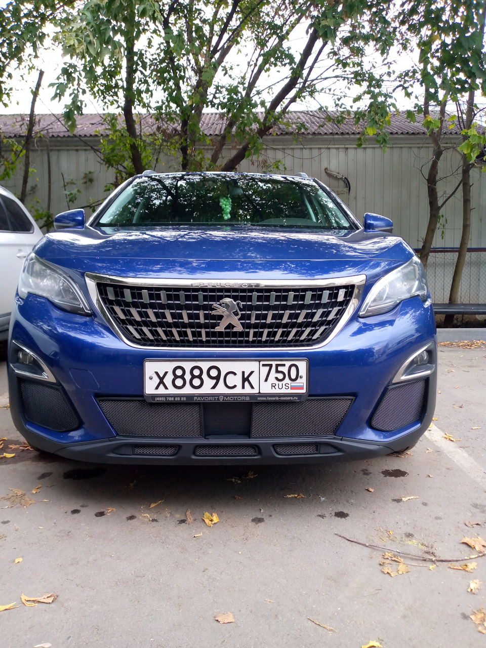 Чехлы на сиденья и сетки на бампер — Peugeot 3008 (2G), 2 л, 2018 года |  просто так | DRIVE2