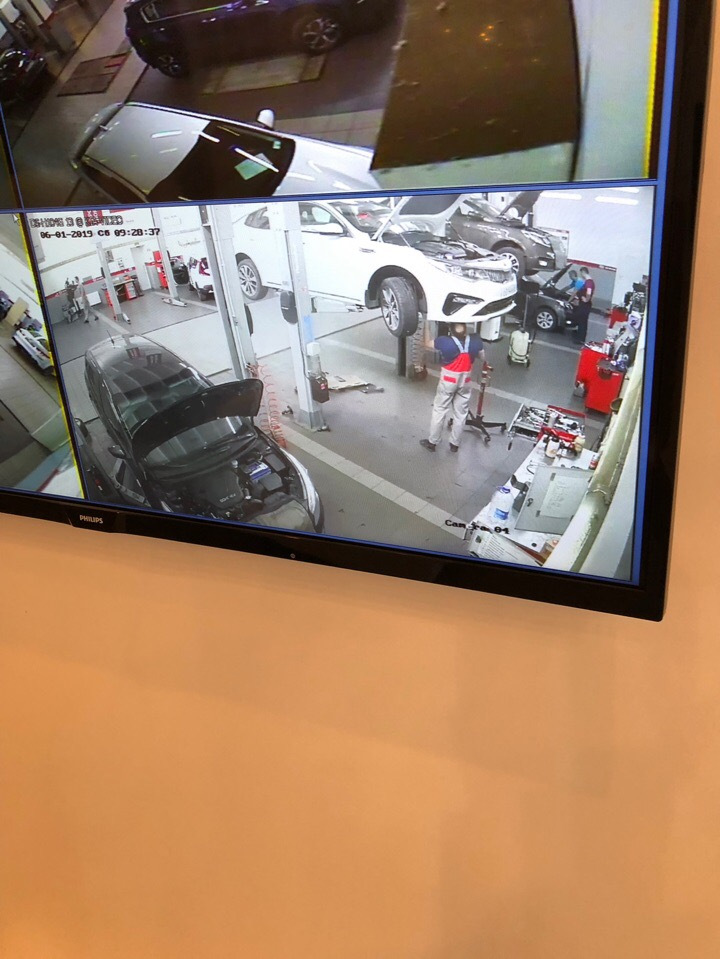 Писк под капотом и установка защитных сеток — KIA Optima (4G), 2 л ...