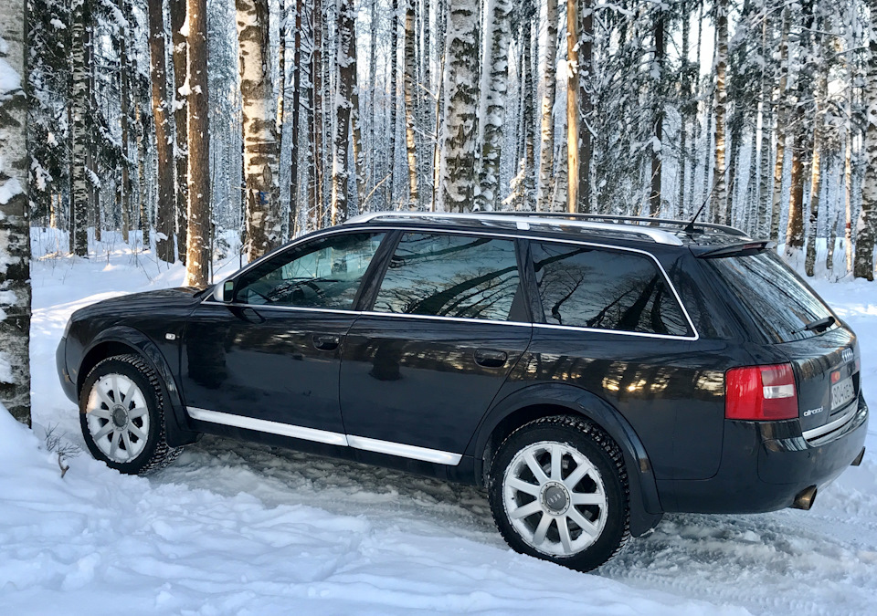 Берёзовая роща vs Allroad — Audi Allroad (C5)