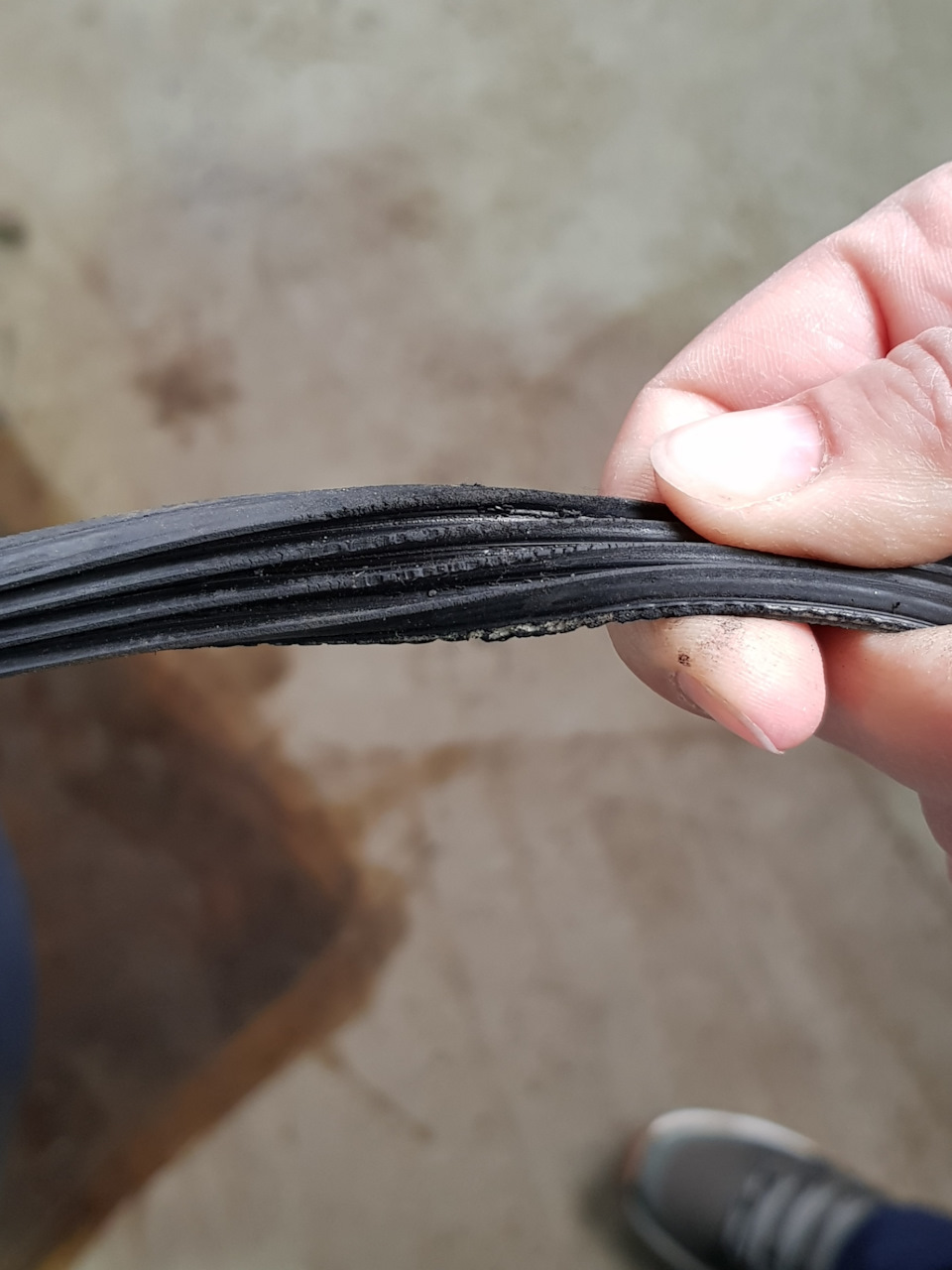 Фото в бортжурнале Suzuki Liana