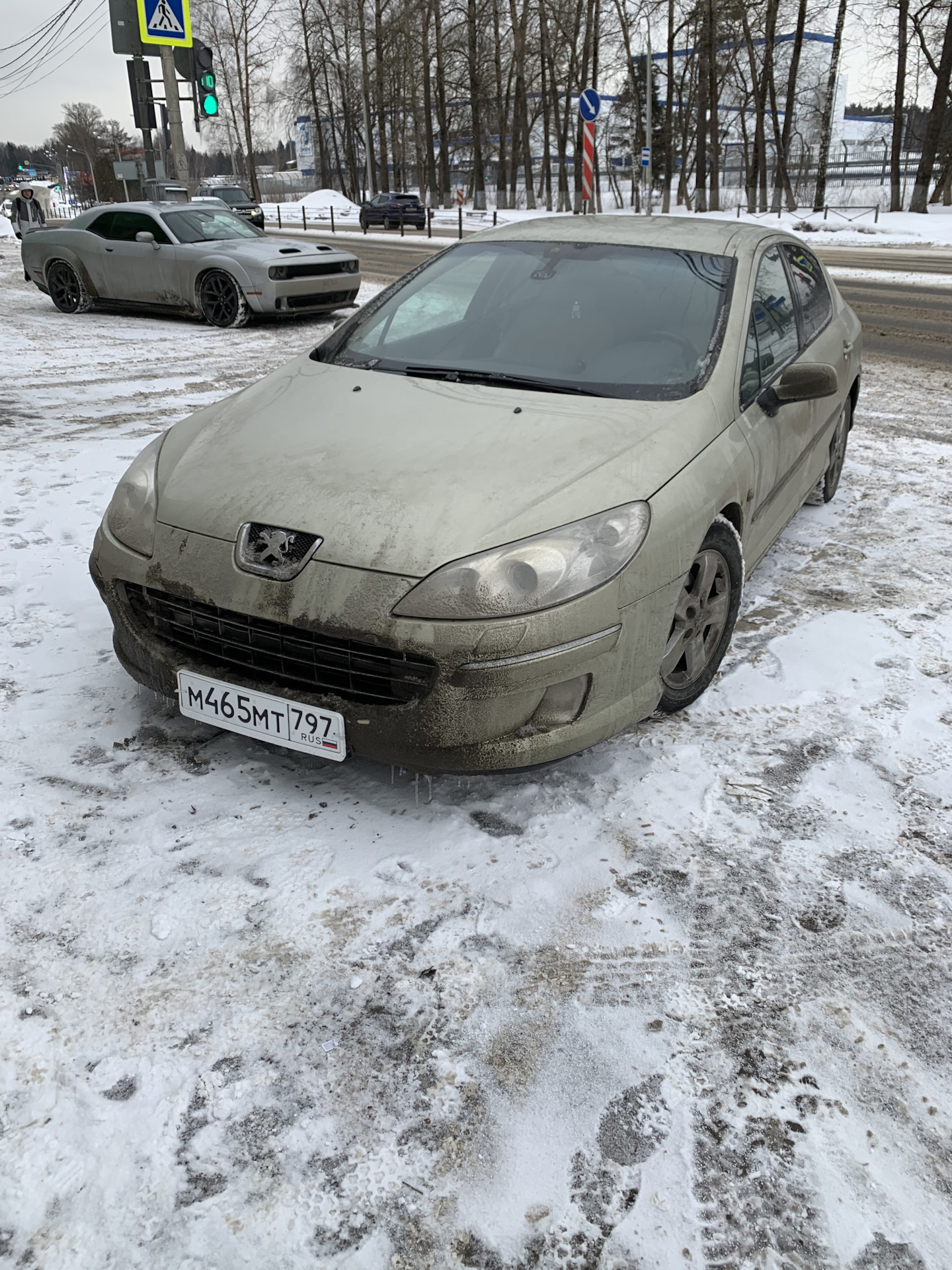 Нумера. — Peugeot 407, 2 л, 2007 года | покупка машины | DRIVE2