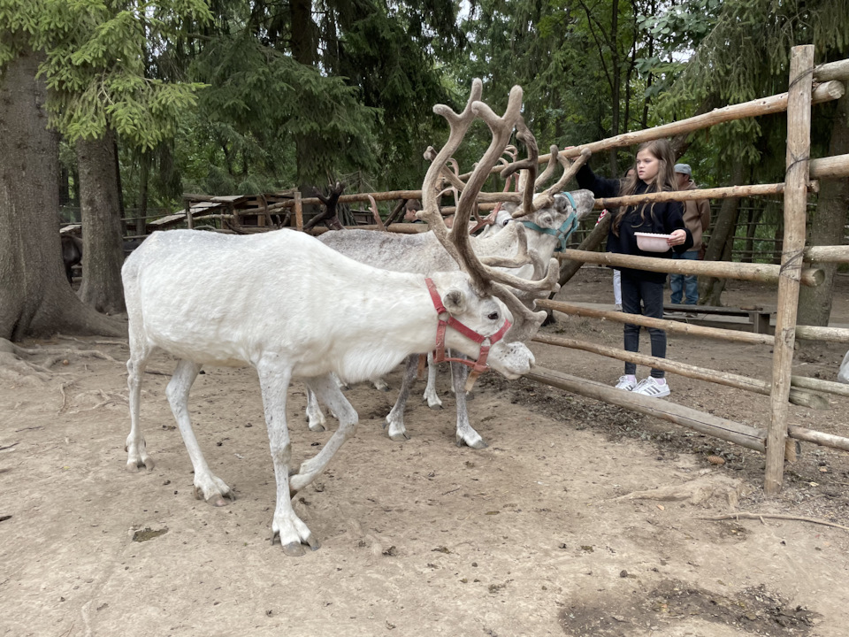 Фото в бортжурнале Cadillac Escalade (3G)