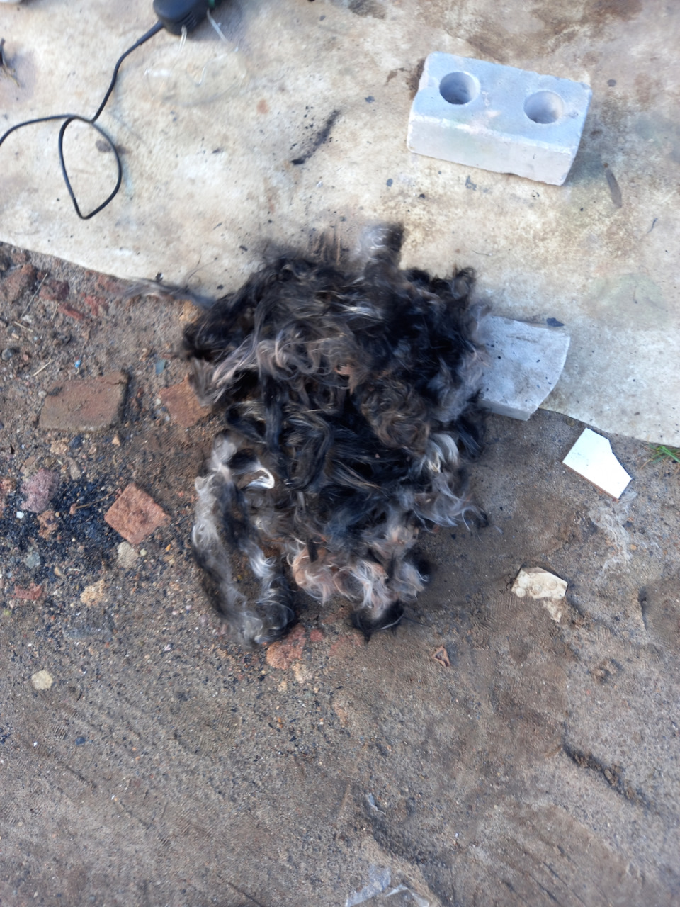 Внутренности банки глушителя A16let — Opel Astra J, 1,6 л, 2011 года ...