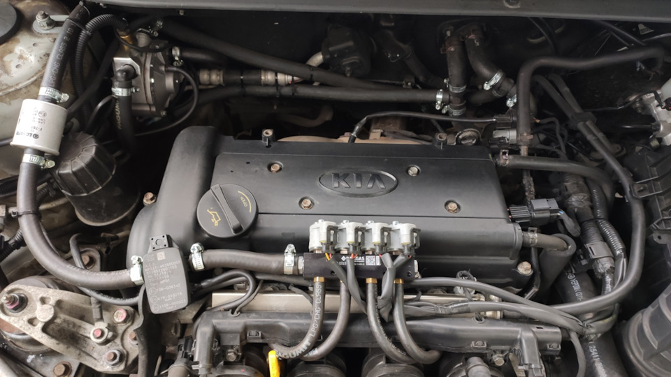 Установка ГБО, иридиевые свечи — KIA Ceed (1G), 1,6 л, 2010 года ...