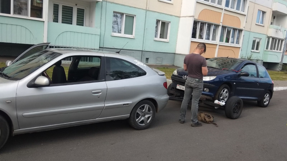 Ремень дополнительного оборудования — Peugeot 206, 1,9 л, 1999 года ...