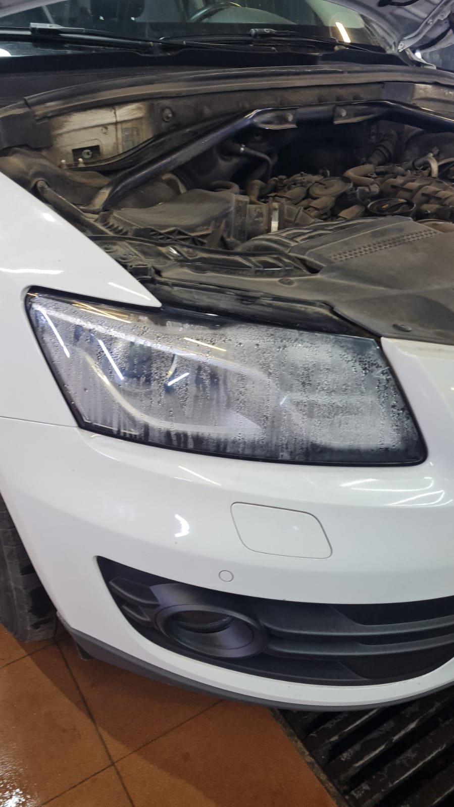 ауди Q3 Запотевание фары — Procarstudio.ru на DRIVE2