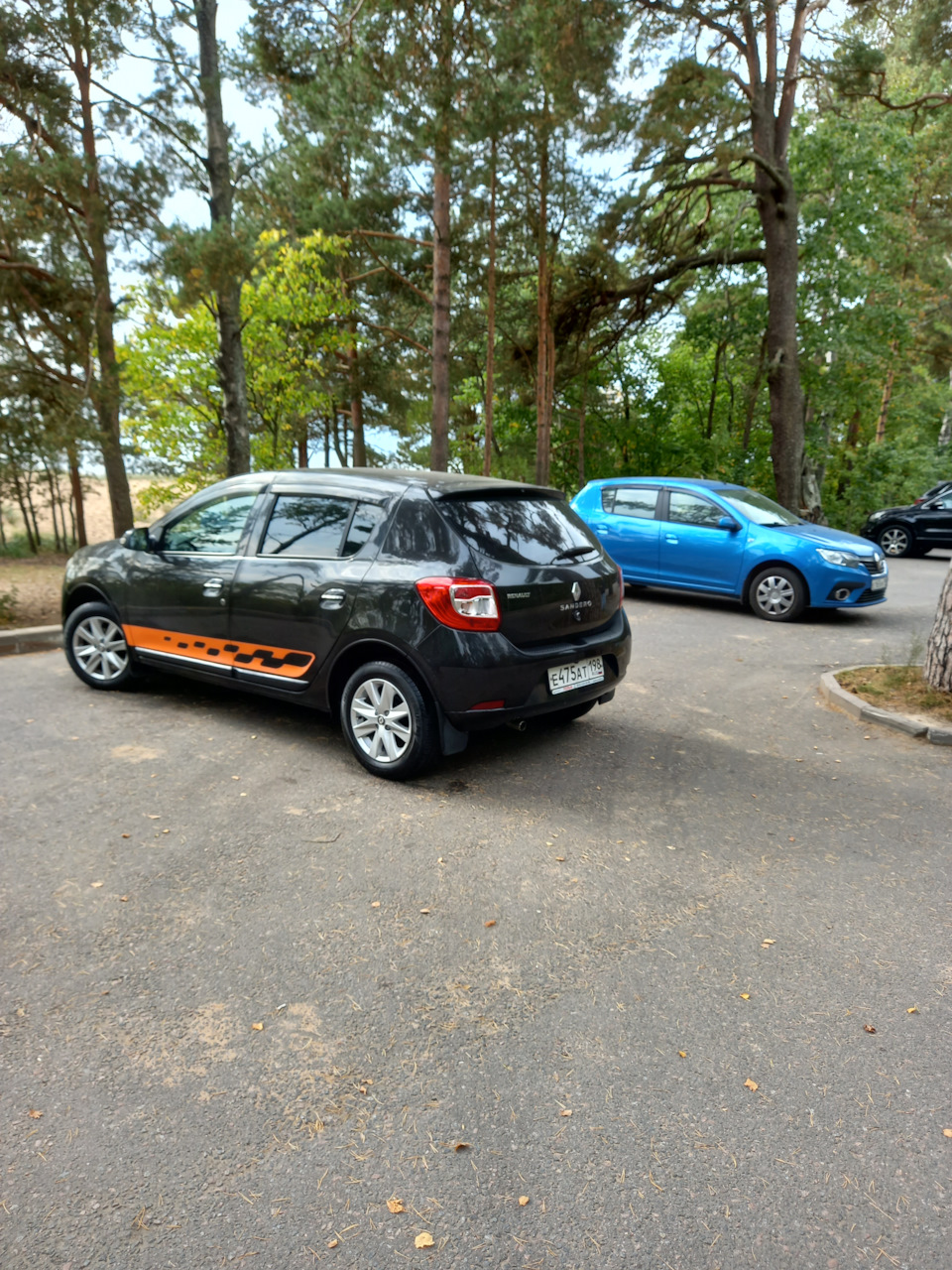 Чёрный и синий😁 — Renault Sandero 2G