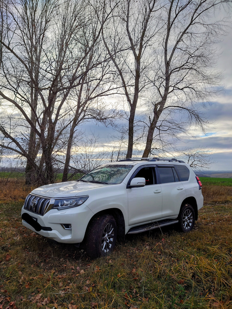 С. Сторожевое Острогожского района Воронежской области — Toyota Land  Cruiser Prado 150-series, 2,8 л, 2020 года | покатушки | DRIVE2