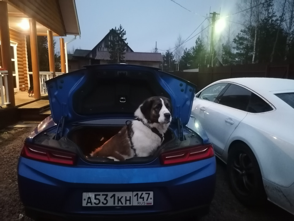 Сравнение багажников — Audi A7 Sportback (1G), 3 л, 2013 года | просто ...