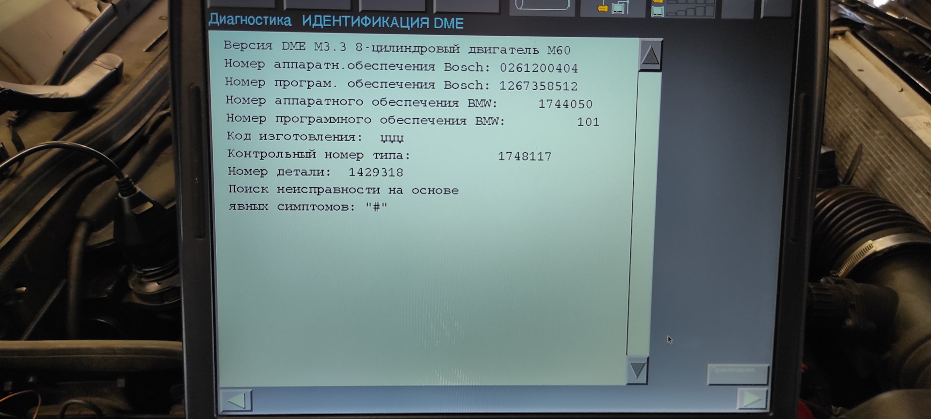 ZVSDRGkgEWhZLcFVp_c6d-WZdfQ-1920.jpg